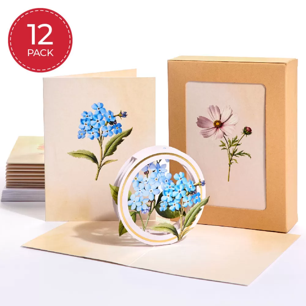 Lovepop Value Packs | Just Because | Beautiful Botanicals Box Set (Assorted 12-Pack): Paperpop® Card