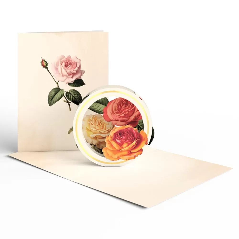 Lovepop Value Packs | Just Because | Beautiful Botanicals Box Set (Assorted 12-Pack): Paperpop® Card