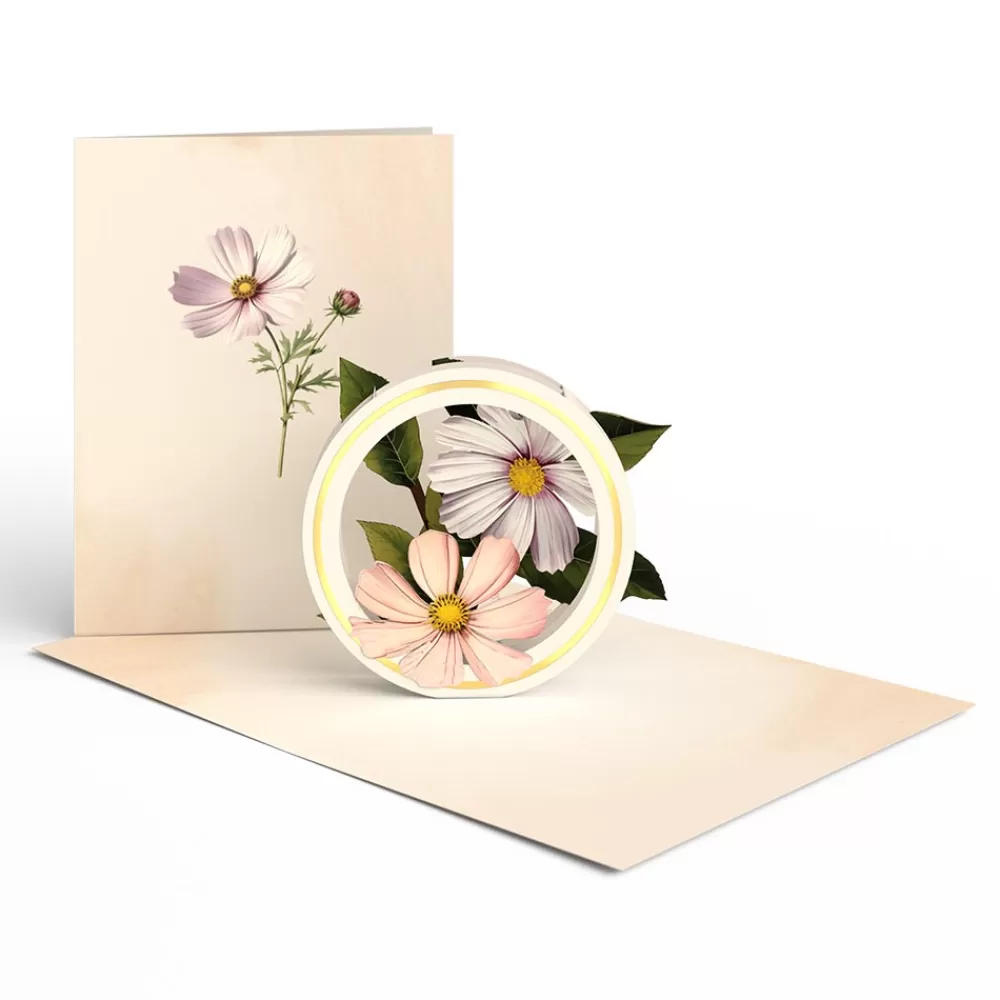 Lovepop Value Packs | Just Because | Beautiful Botanicals Box Set (Assorted 12-Pack): Paperpop® Card
