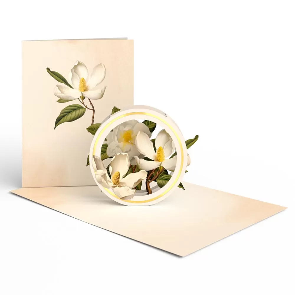 Lovepop Value Packs | Just Because | Beautiful Botanicals Box Set (Assorted 12-Pack): Paperpop® Card