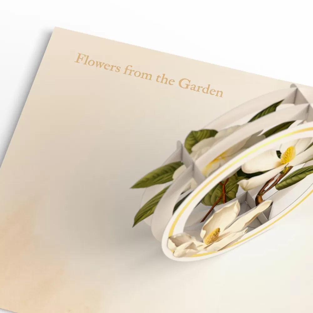 Lovepop Value Packs | Just Because | Beautiful Botanicals Box Set (Assorted 12-Pack): Paperpop® Card