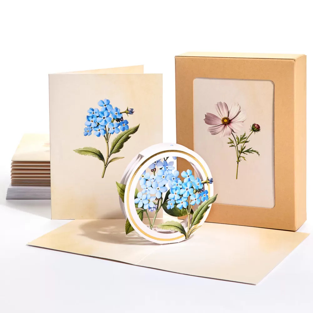 Lovepop Value Packs | Just Because | Beautiful Botanicals Box Set (Assorted 12-Pack): Paperpop® Card