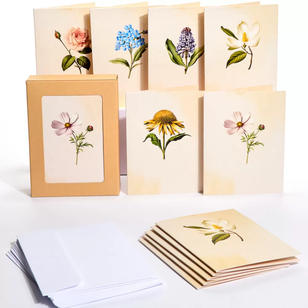 Lovepop Value Packs | Just Because | Beautiful Botanicals Box Set (Assorted 12-Pack): Paperpop® Card