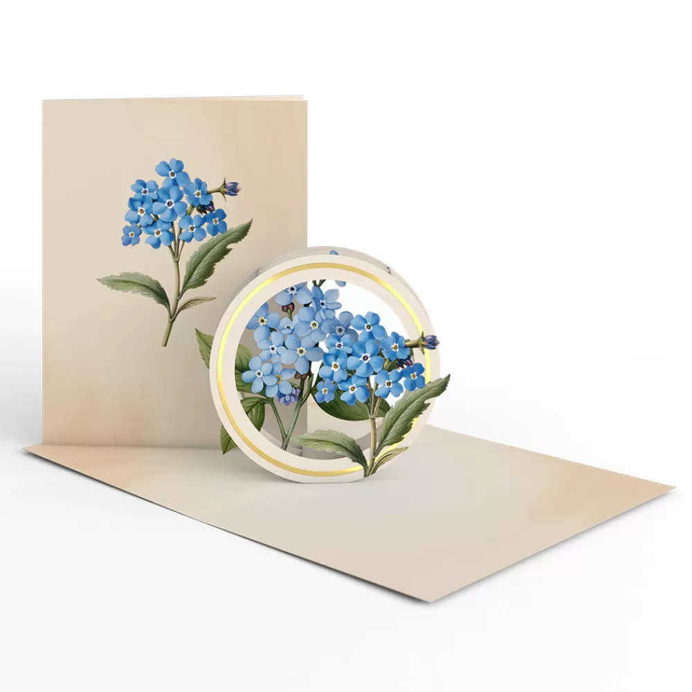 Lovepop Value Packs | Just Because | Beautiful Botanicals Box Set (Assorted 12-Pack): Paperpop® Card