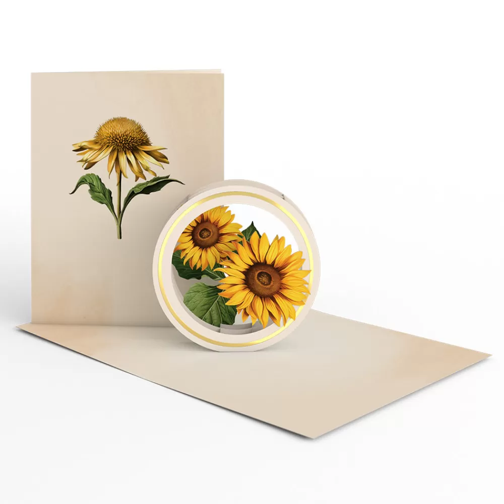 Lovepop Value Packs | Just Because | Beautiful Botanicals Box Set (Assorted 12-Pack): Paperpop® Card