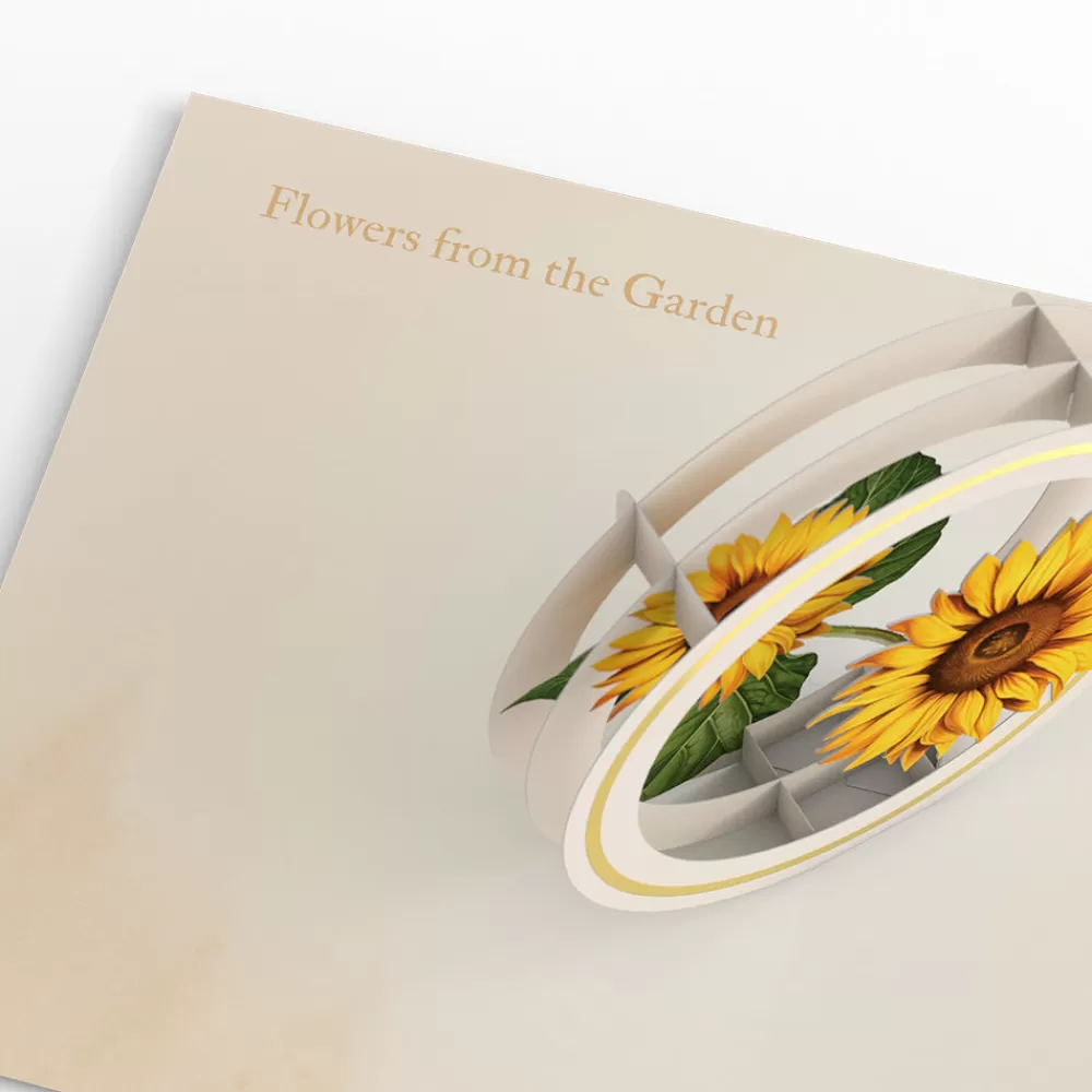Lovepop Value Packs | Just Because | Beautiful Botanicals Box Set (Assorted 12-Pack): Paperpop® Card