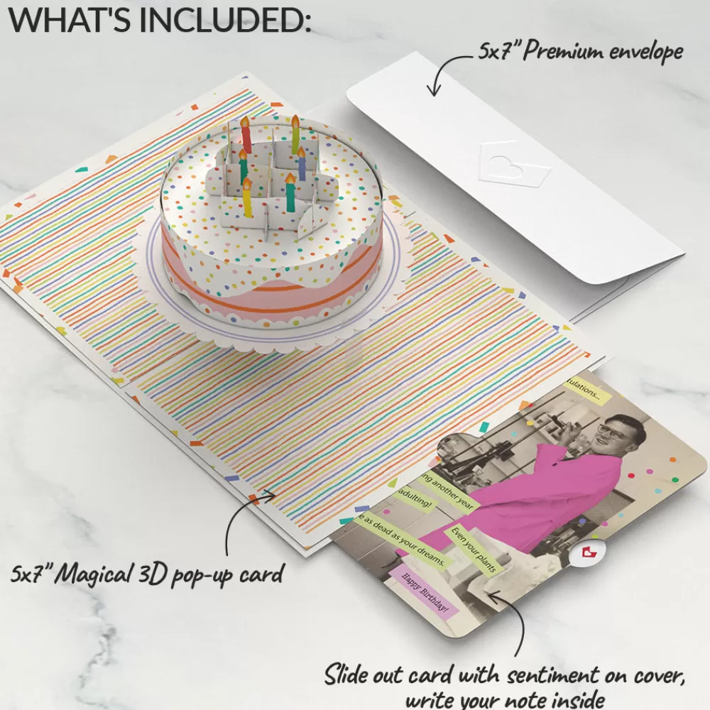 Lovepop Birthday | Confetti Cake Birthday Pop-Up Card and Survive Another Year of Adulting Sentiment Set