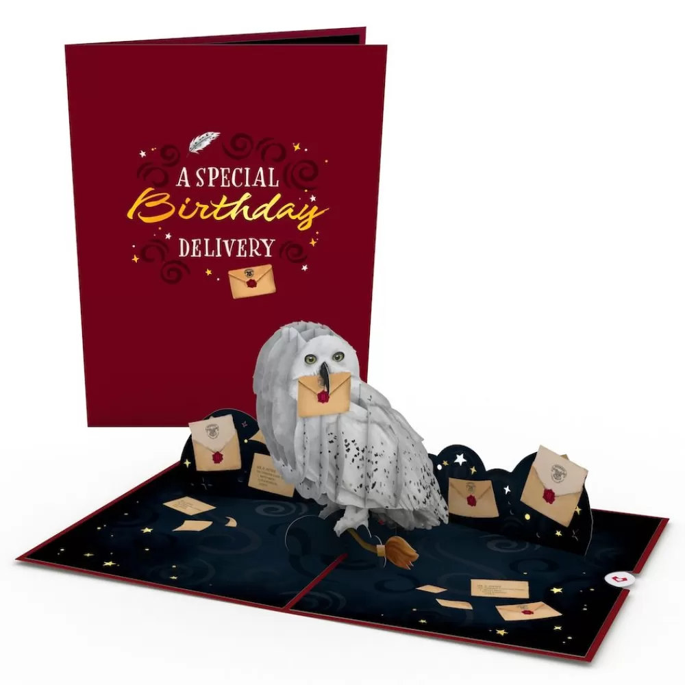 Lovepop Pop-Up Bouquets | Card & Gift Bundles | Harry Potter™ Hedwig™ Birthday Pop-Up Card & Flower Buds Bouquet Bundle