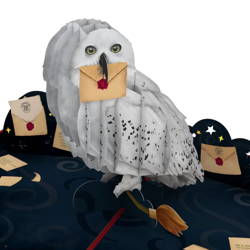 Lovepop Pop-Up Bouquets | Card & Gift Bundles | Harry Potter™ Hedwig™ Birthday Pop-Up Card & Flower Buds Bouquet Bundle