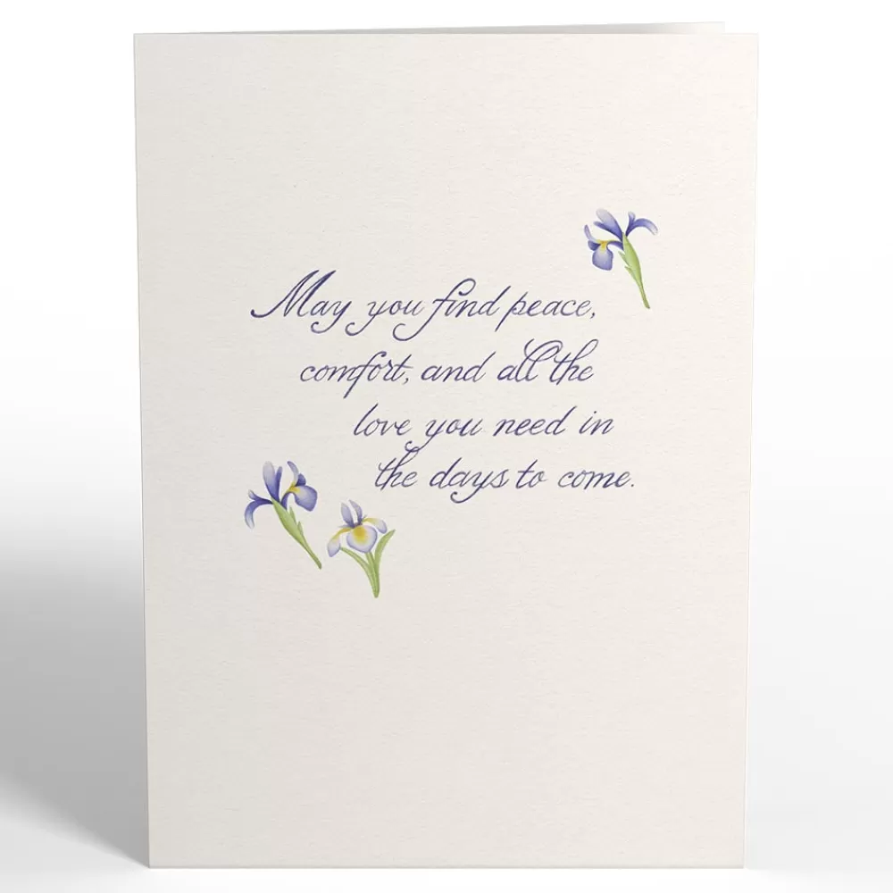 Lovepop Greeting Cards | Sympathy | May You Find Peace and Comfort Sympathy Pop-Up Card