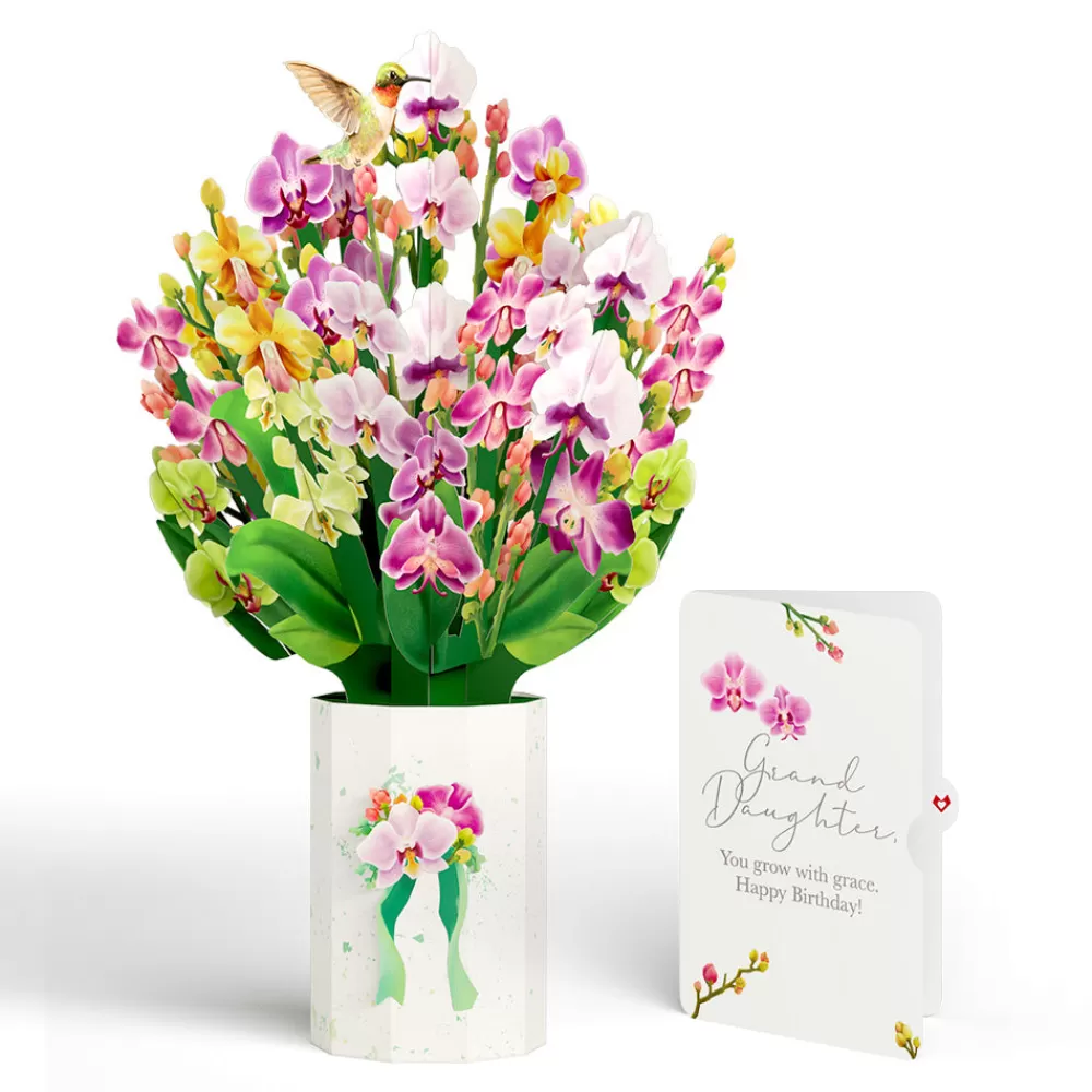 Lovepop Pop-Up Bouquets | Orchid Birthday Bouquet and Sentiment Set for Granddaughter