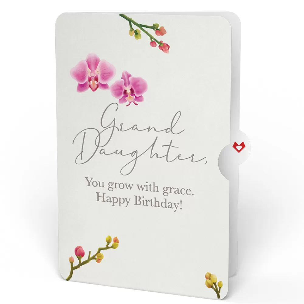 orchid_birthday_bouquet_and_sentiment_set_for_granddaughter_3.webp Lovepop Pop-Up Bouquets | Orchid Birthday Bouquet and Sentiment Set for Granddaughter