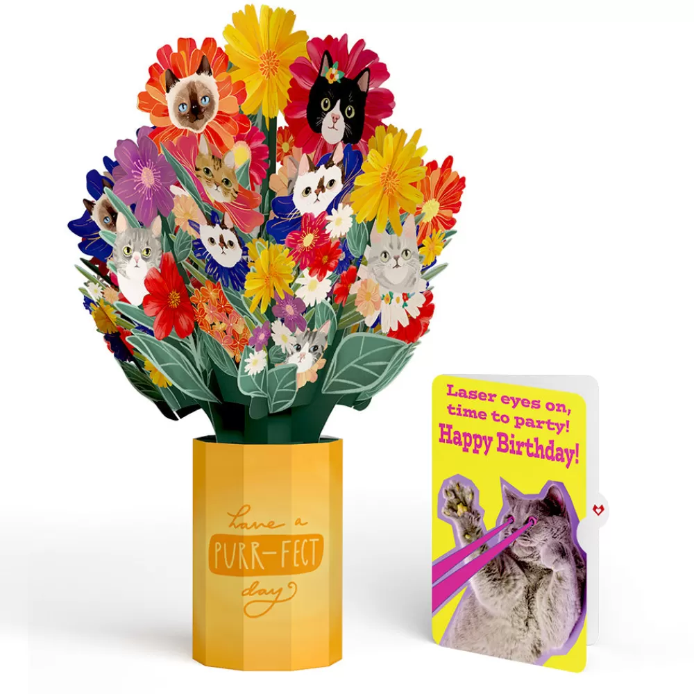 Lovepop Pop-Up Bouquets | Purr-fect Cat Birthday Bouquet and Cat Laser Eyes Sentiment Set