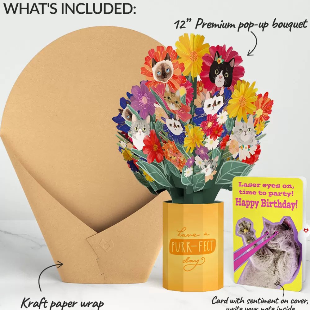 Lovepop Pop-Up Bouquets | Purr-fect Cat Birthday Bouquet and Cat Laser Eyes Sentiment Set