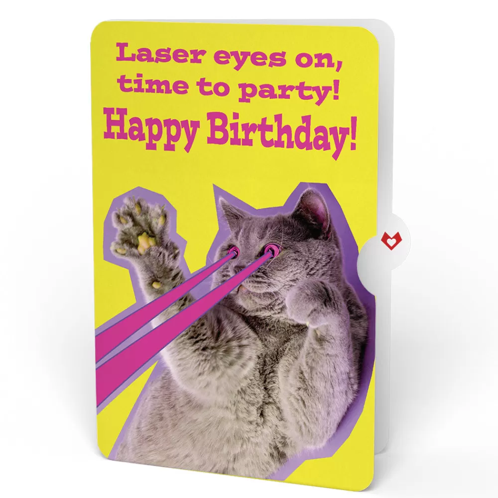 purrfect_cat_birthday_bouquet_and_cat_laser_eyes_sentiment_set_3.webp Lovepop Pop-Up Bouquets | Purr-fect Cat Birthday Bouquet and Cat Laser Eyes Sentiment Set
