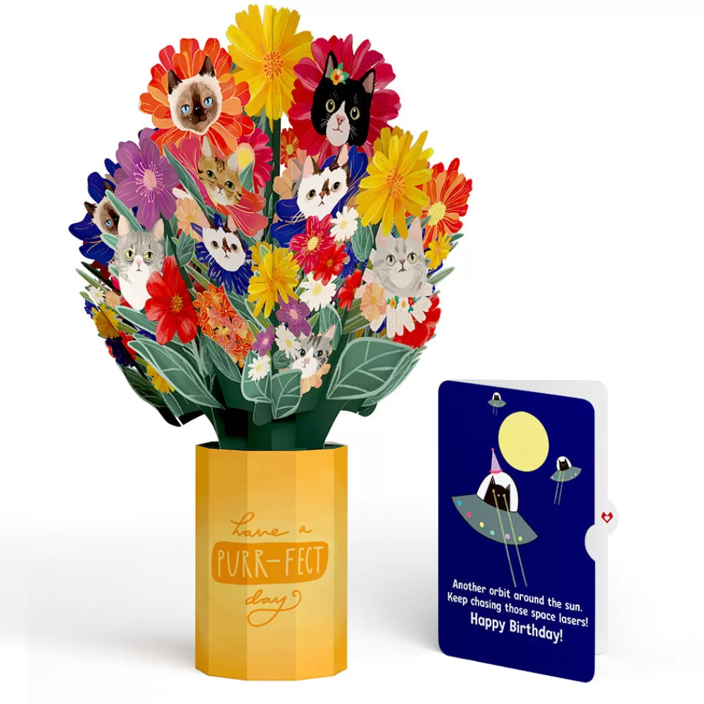 Lovepop Pop-Up Bouquets | Purr-fect Cat Birthday Bouquet and Space Laser Cats Sentiment Set