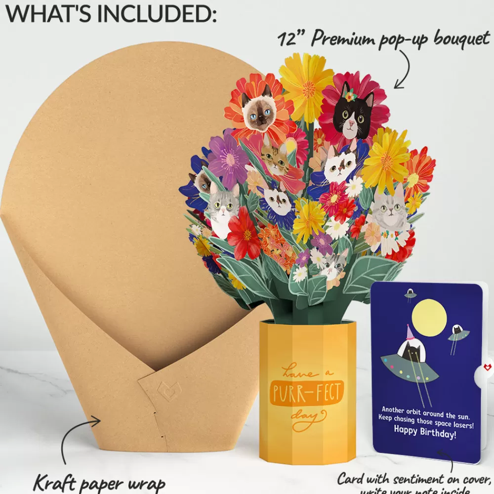 Lovepop Pop-Up Bouquets | Purr-fect Cat Birthday Bouquet and Space Laser Cats Sentiment Set