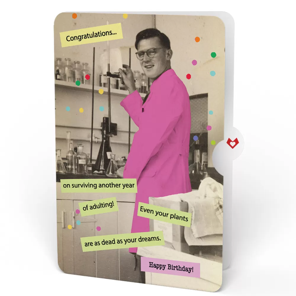Lovepop Birthday | Sweet Birthday Wishes Bouquet and Survive Another Year of Adulting Congratulations Sentiment Set