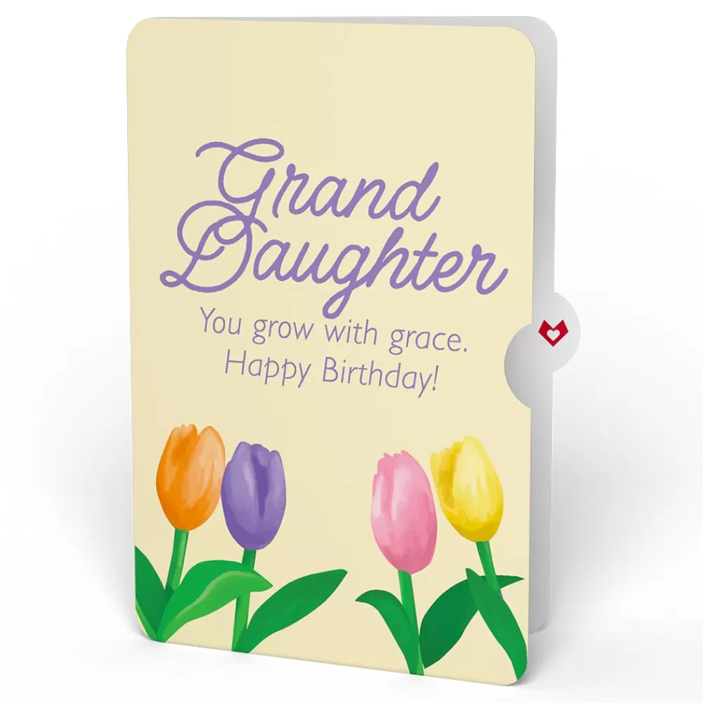Lovepop Birthday | Tulips Birthday Pop-Up Card and Sentiment Set for Granddaughter