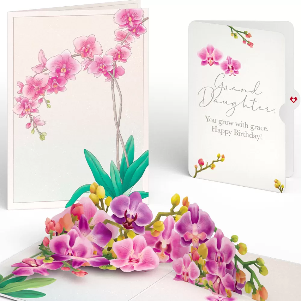 Lovepop Birthday | Watercolor Orchid Birthday Pop-Up Card and Sentiment Set for Granddaughter