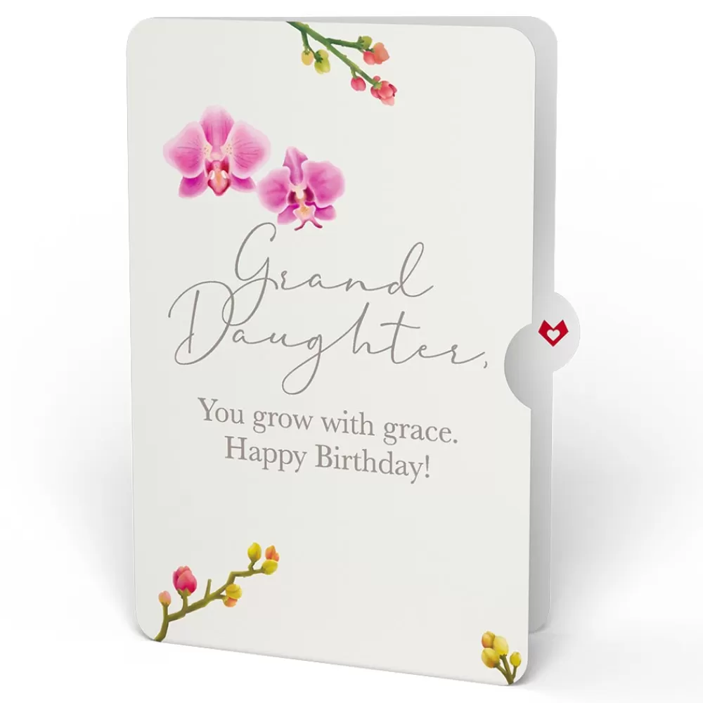 Lovepop Birthday | Watercolor Orchid Birthday Pop-Up Card and Sentiment Set for Granddaughter
