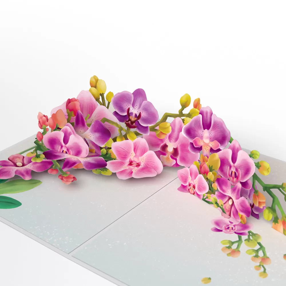 Lovepop Birthday | Mom | Watercolor Orchid Birthday Pop-Up Card and Sentiment Set for Mom