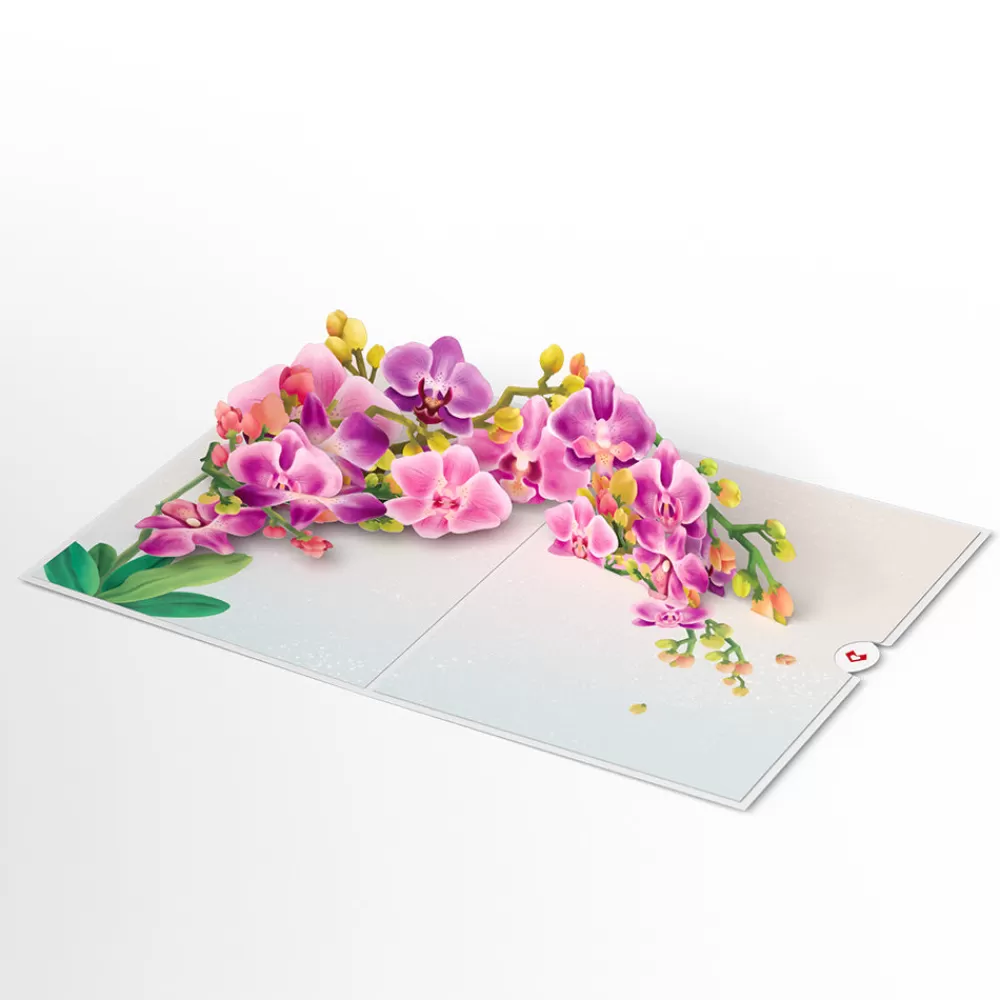 Lovepop Pop-Up Bouquets | Card & Gift Bundles | Watercolor Orchid Pop-Up Card & Bouquet Bundle