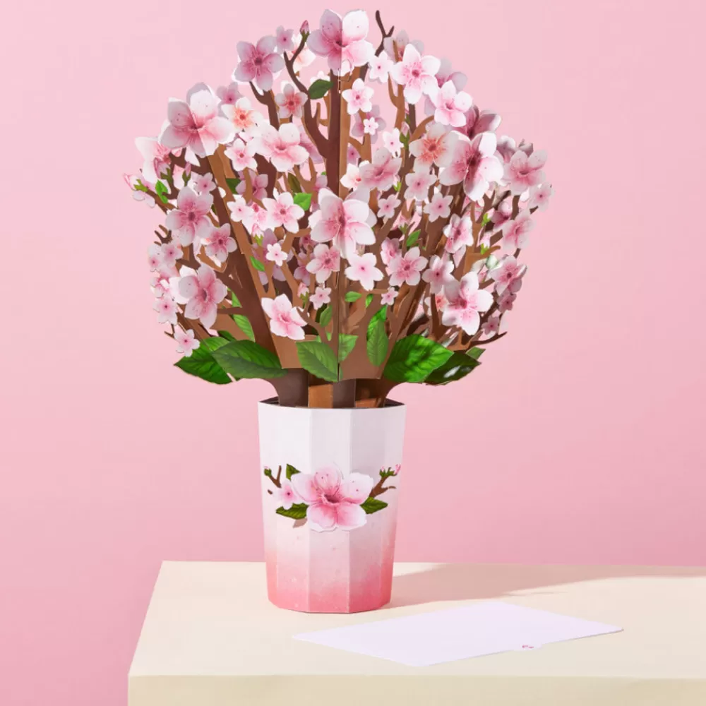 Lovepop Pop-Up Bouquets | Card & Gift Bundles | You Brighten My World Birds Suncatcher Card & Pop-Up Bouquet Bundle