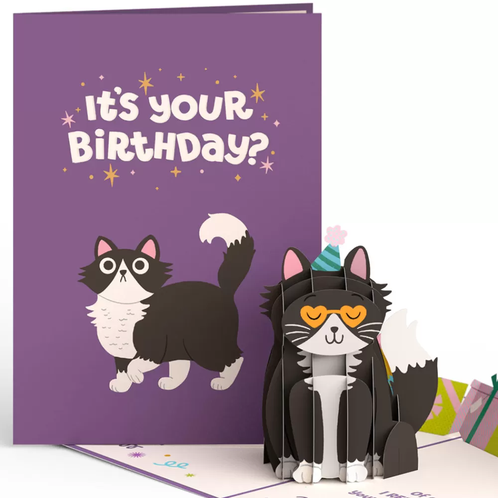 Lovepop Greeting Cards | Birthday | Your Gift Is in the Litterbox Birthday Cat Pop-Up Card