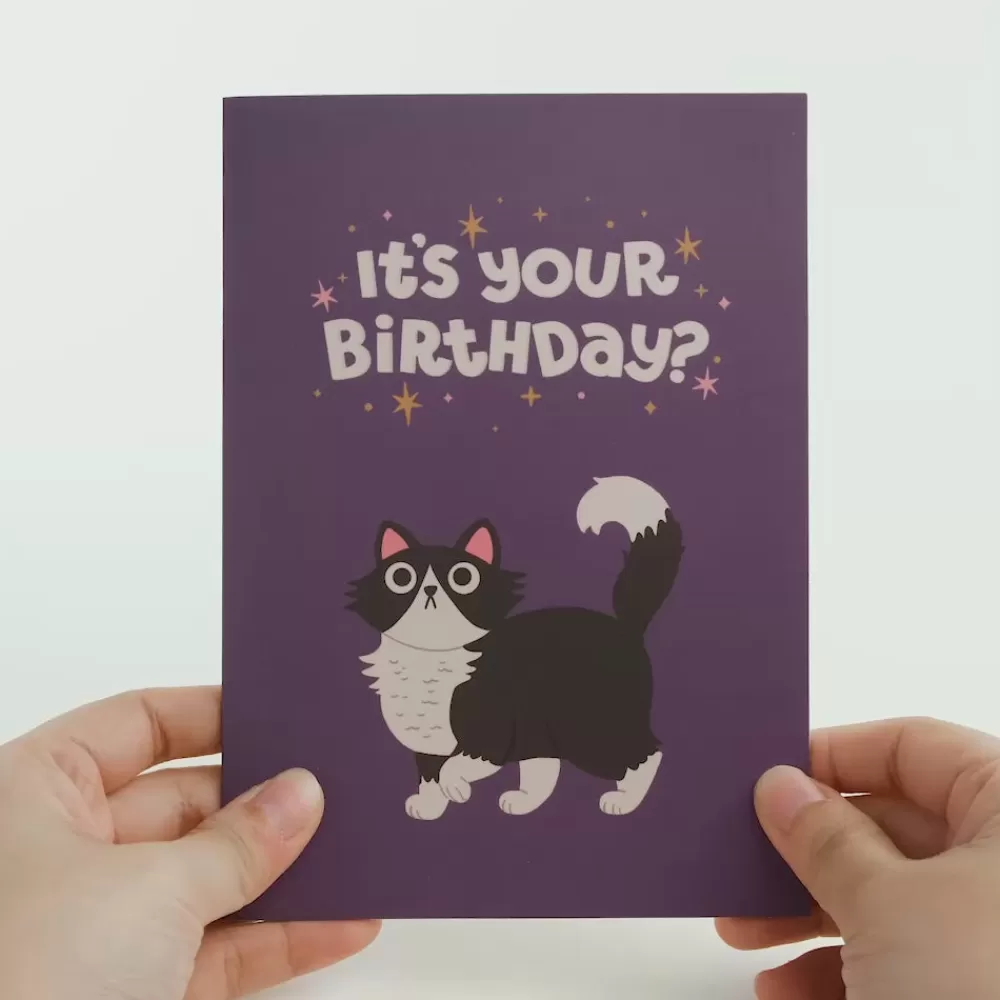 Lovepop Greeting Cards | Birthday | Your Gift Is in the Litterbox Birthday Cat Pop-Up Card