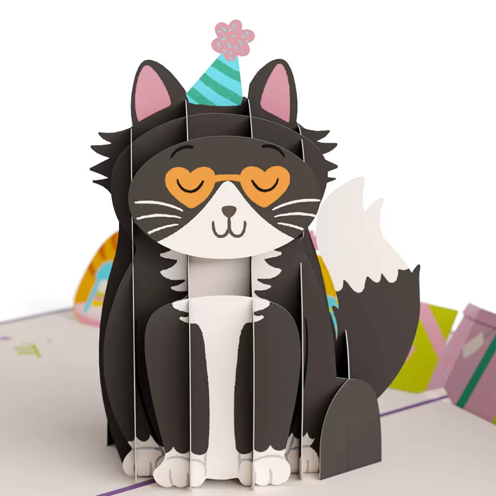 Lovepop Greeting Cards | Birthday | Your Gift Is in the Litterbox Birthday Cat Pop-Up Card