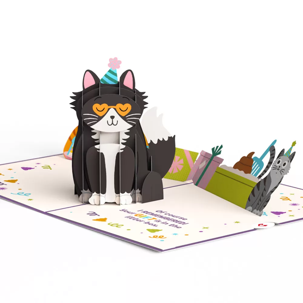 Lovepop Greeting Cards | Birthday | Your Gift Is in the Litterbox Birthday Cat Pop-Up Card