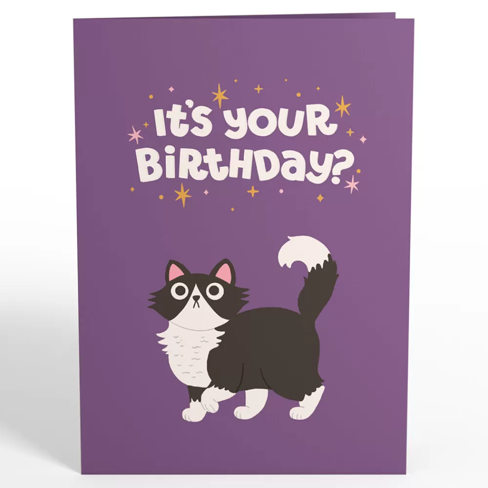 Lovepop Greeting Cards | Birthday | Your Gift Is in the Litterbox Birthday Cat Pop-Up Card