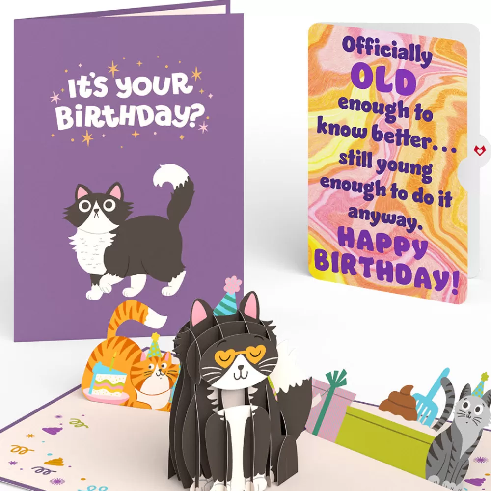 Lovepop Birthday | Your Gift Is in the Litterbox Birthday Cat Pop-Up Card and Sentiment Set